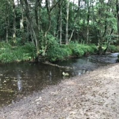 IMG0573