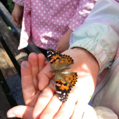 IMG1107-1-768x1024
